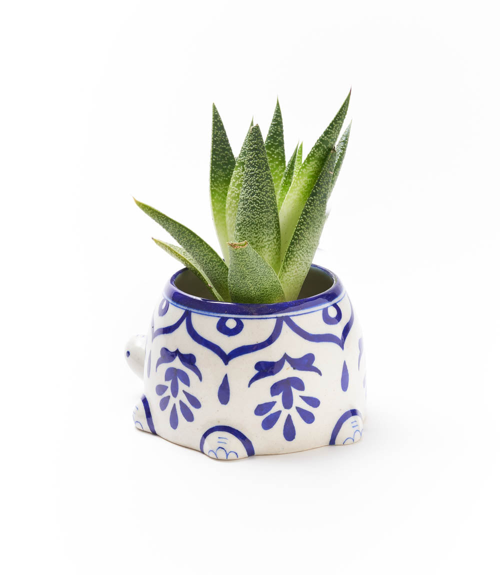 Lalita Mama Turtle Succulent Planter - Hand Painted White & Blue