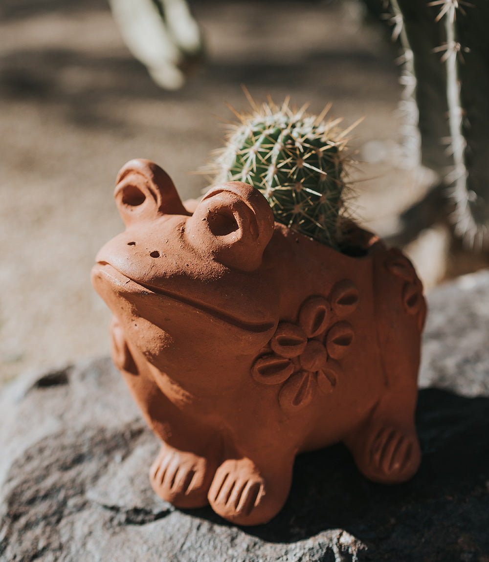 Rakshana Terracotta Frog Plant Pot