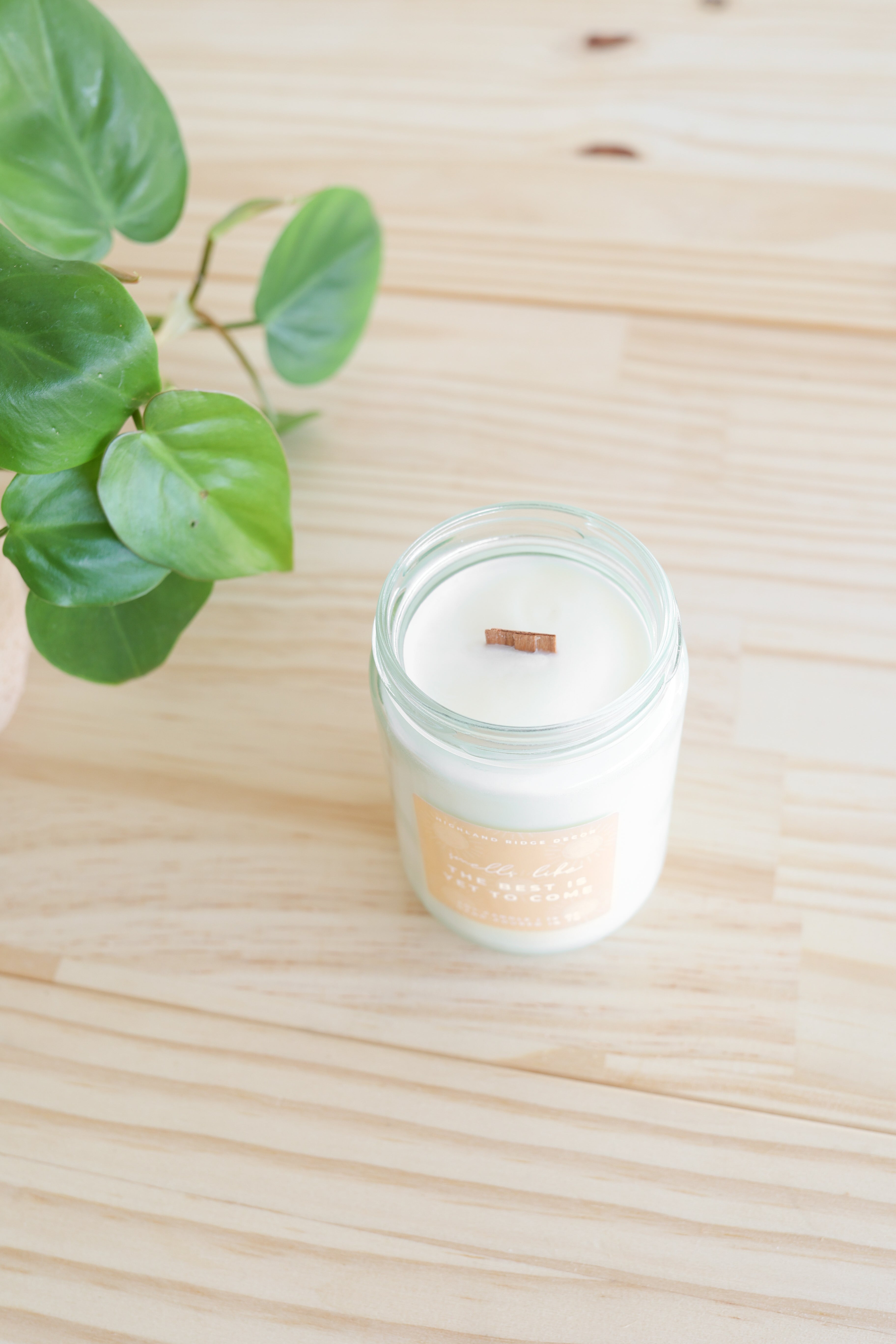 'The Best is Yet to Come' Citrus Agave Candle