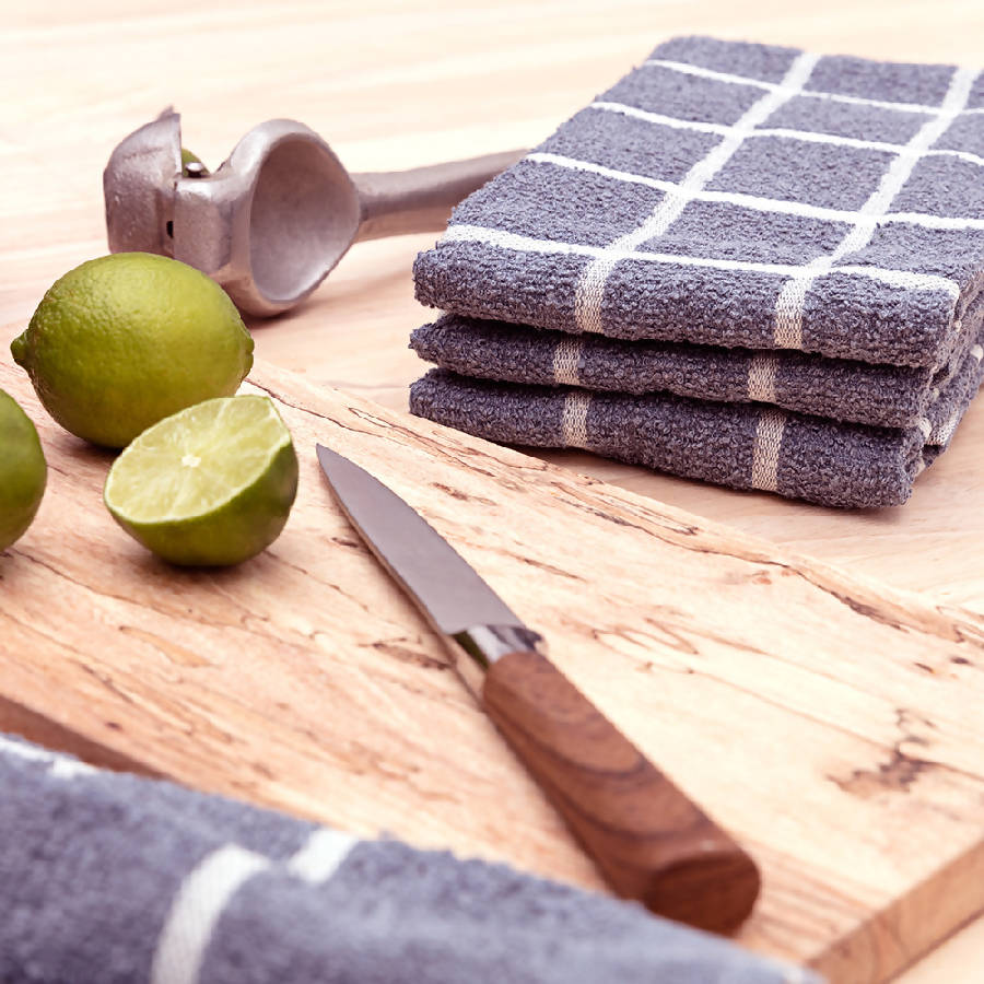 Terry Cloth Kitchen Towels (Set of 2)