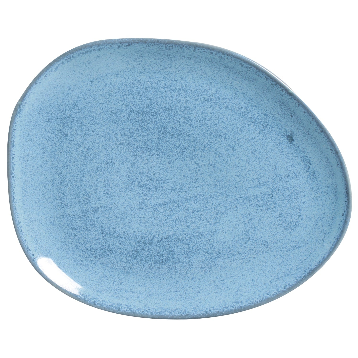 Oval Dinner Plate (Set of 6)