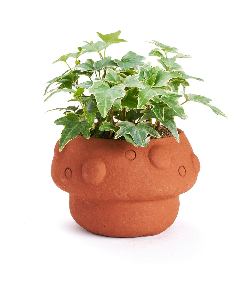 Rakshana Terracotta Mushroom Plant Pot