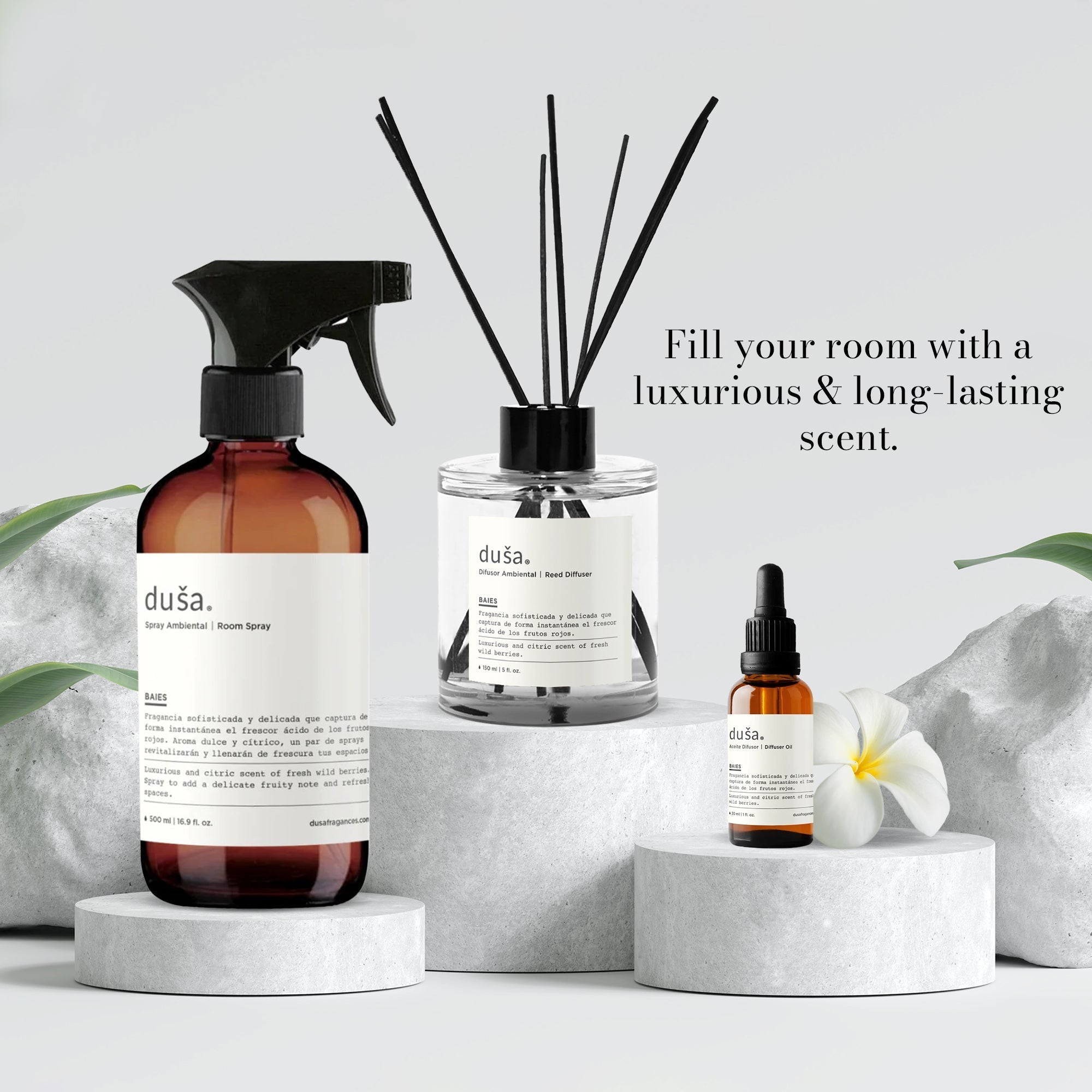 Reed Diffuser - Santal (5 fl.oz.)
