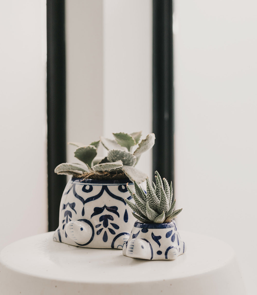 Lalita Mama Turtle Succulent Planter - Hand Painted White & Blue