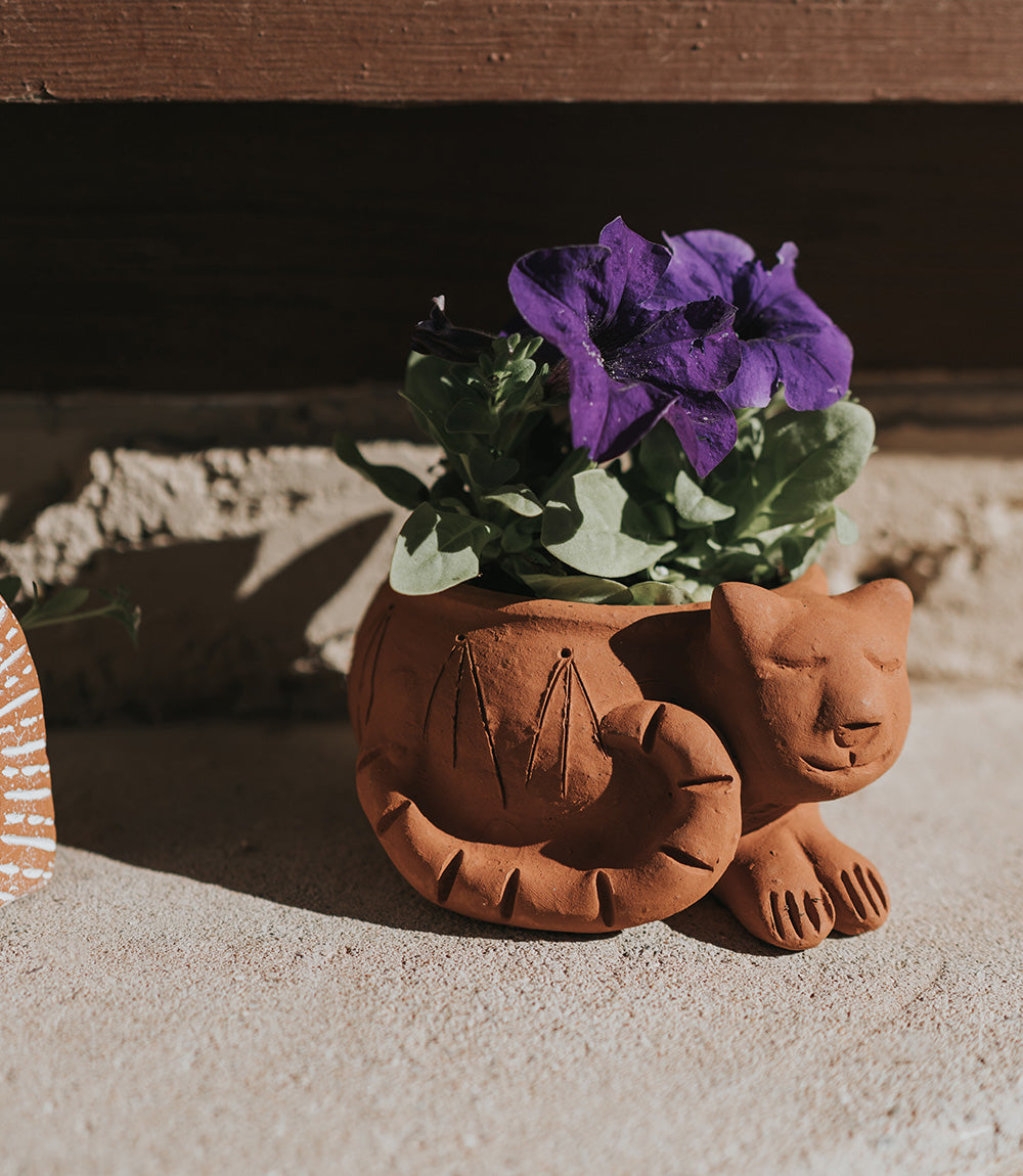 Rakshana Terracotta Cat Plant Po