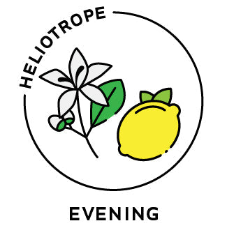 Essential Oil Evening Blend (Neroli Lemon)