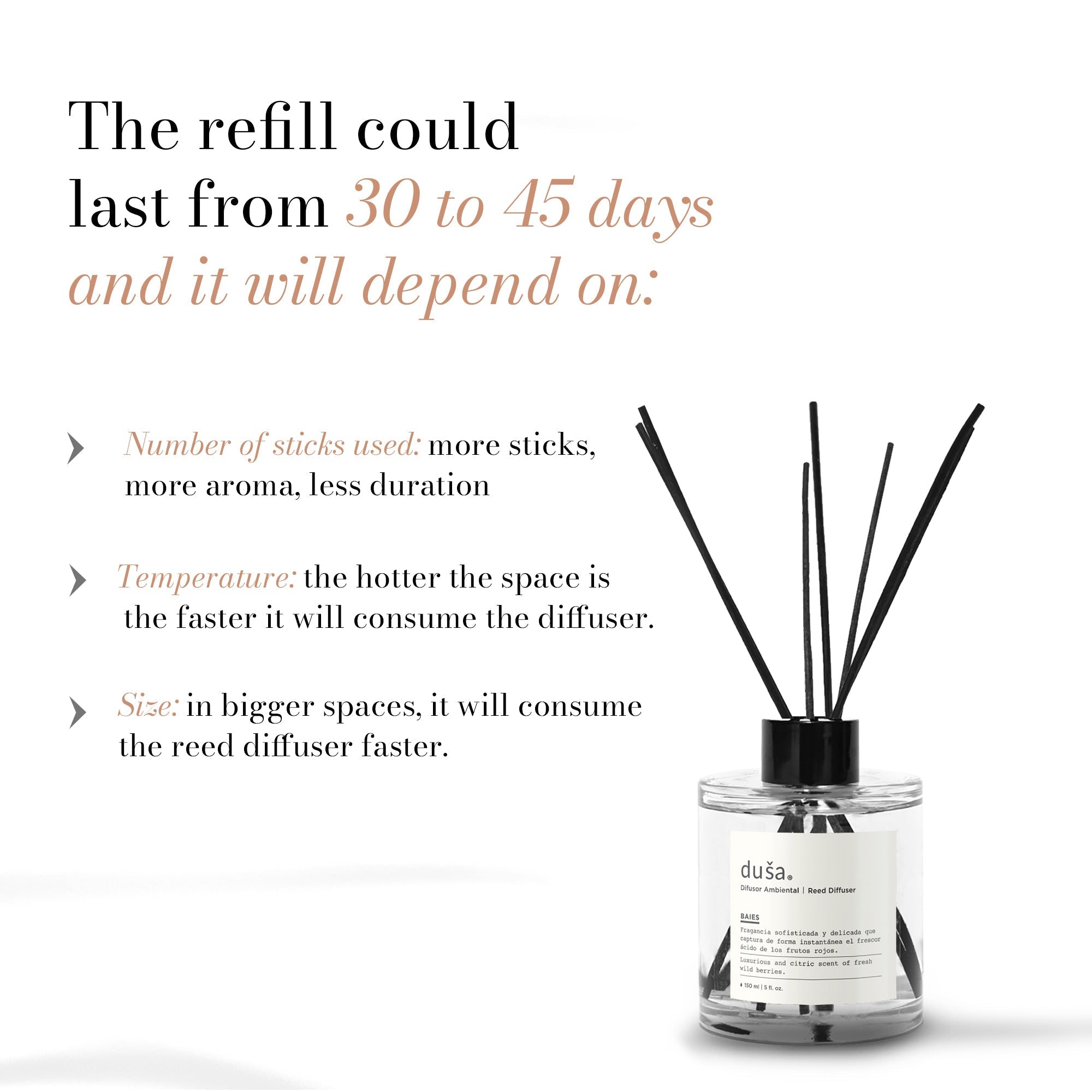 Reed Diffuser - Santal (5 fl.oz.)