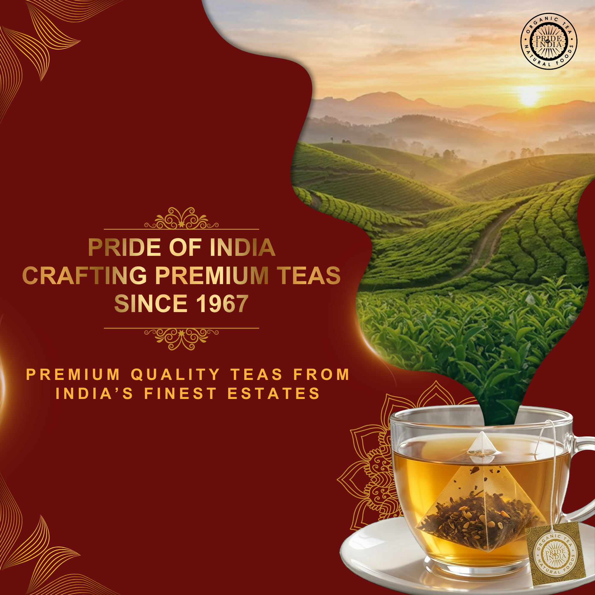 Black Tea Bags - Assamese Gold