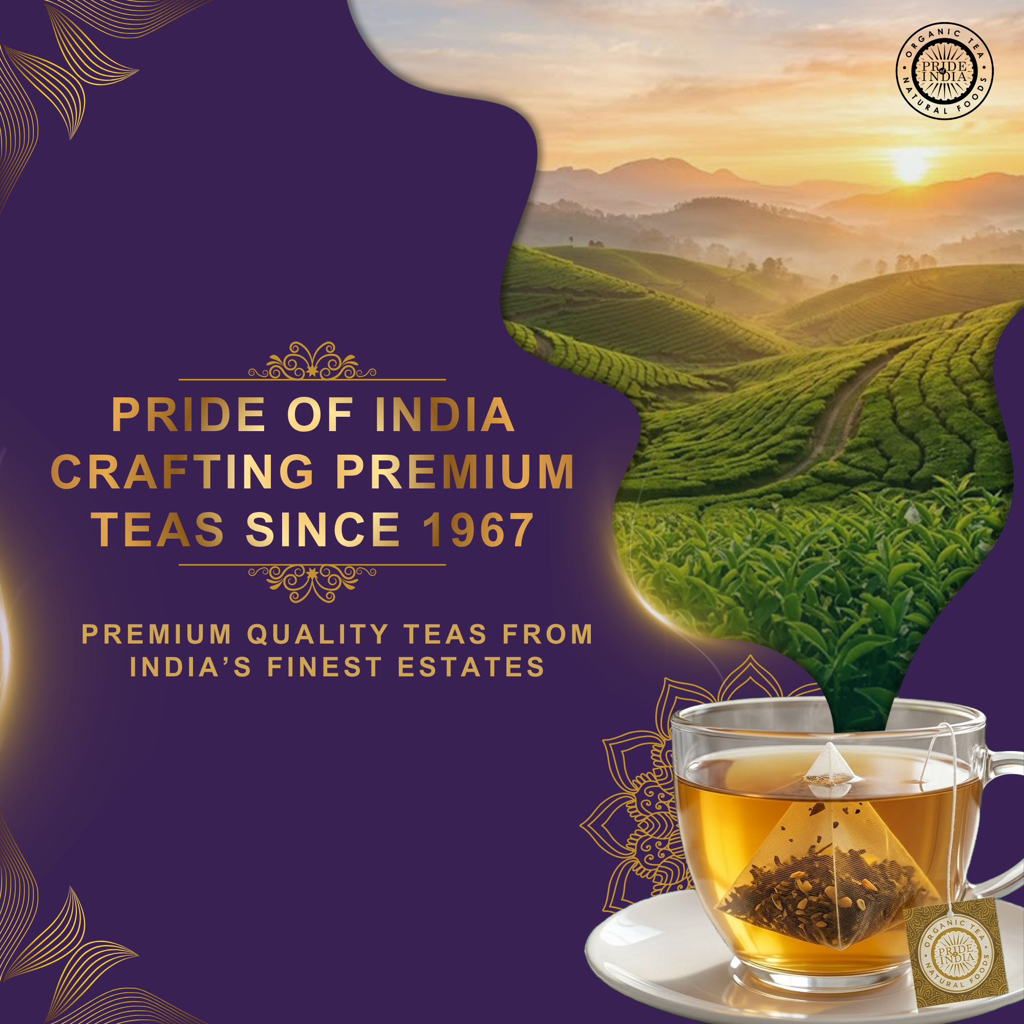 Sauvignon Crème Peachy Oolong Tea Bags