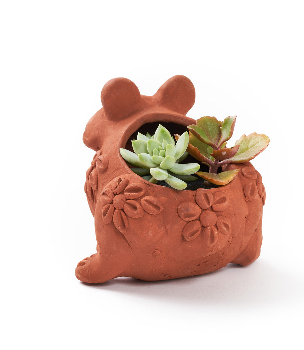 Rakshana Terracotta Frog Plant Pot