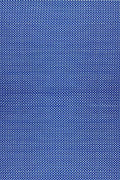 Basic Blue & White Rug