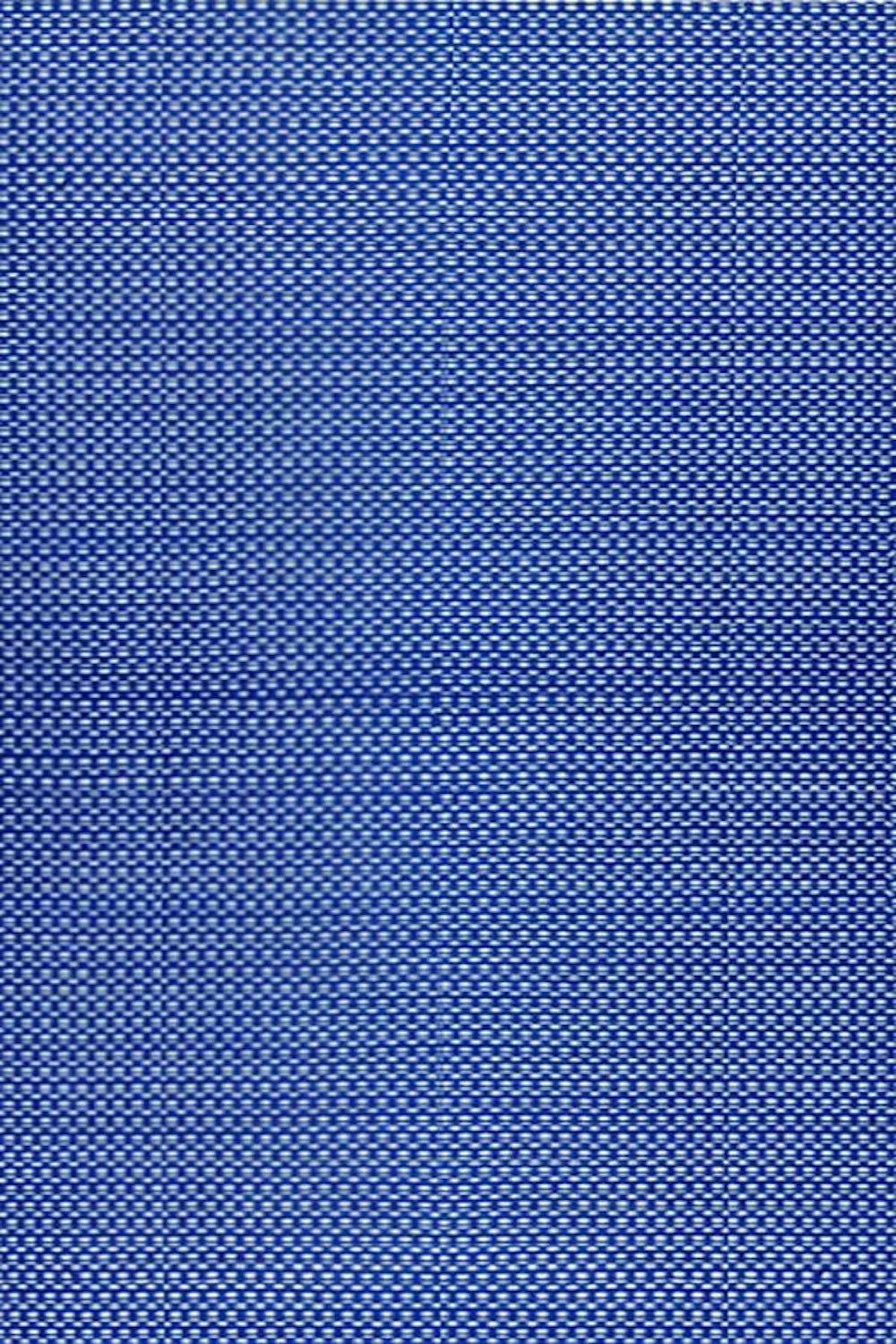 Basic Blue & White Rug