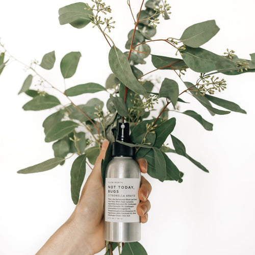 "Not Today, Bugs" Bug Spray (4oz)