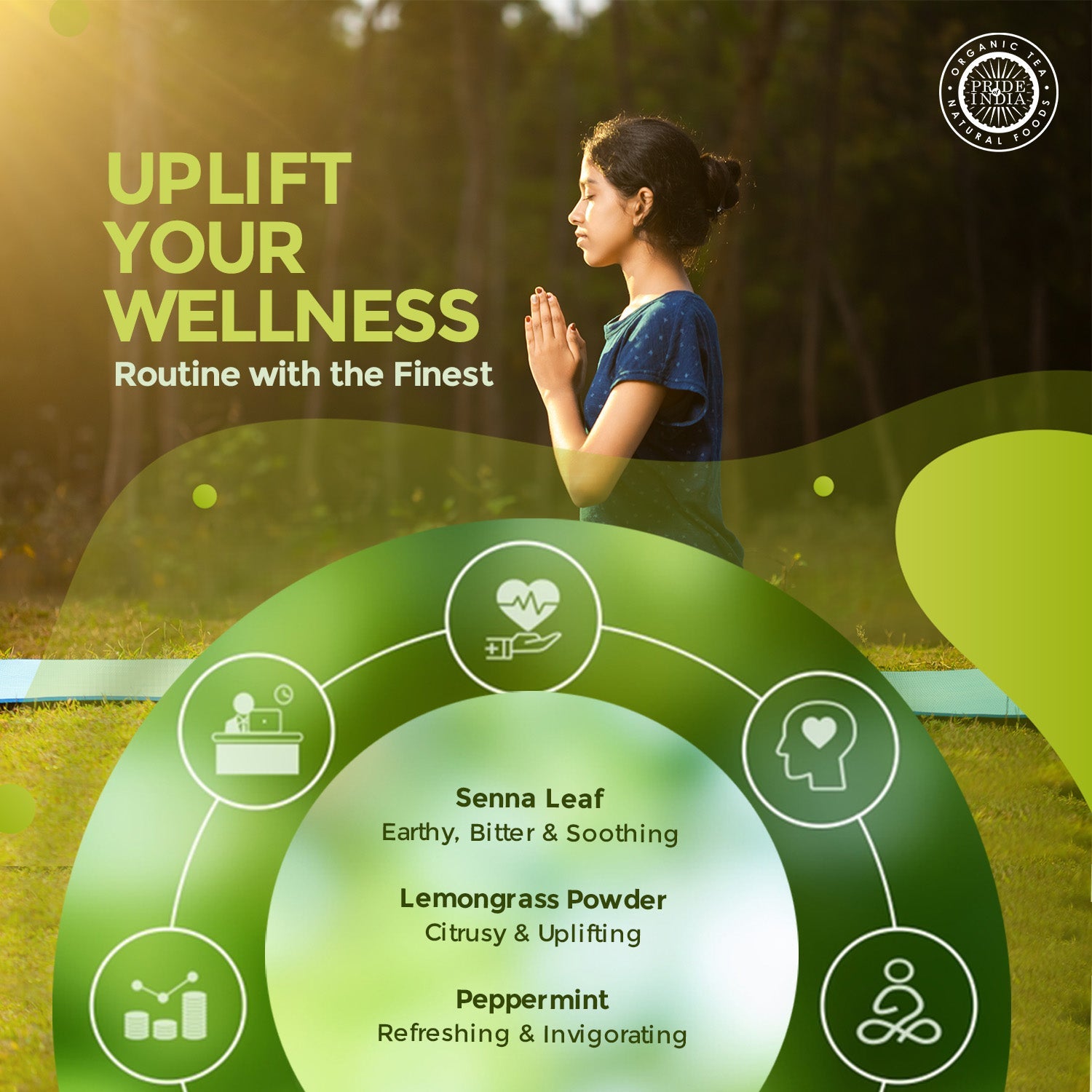 Digestive Health Trio - Whole Mint Leaf, Fine Cut Lemongrass & Whole Senna Herbal Tea Leaf (3-Pack)