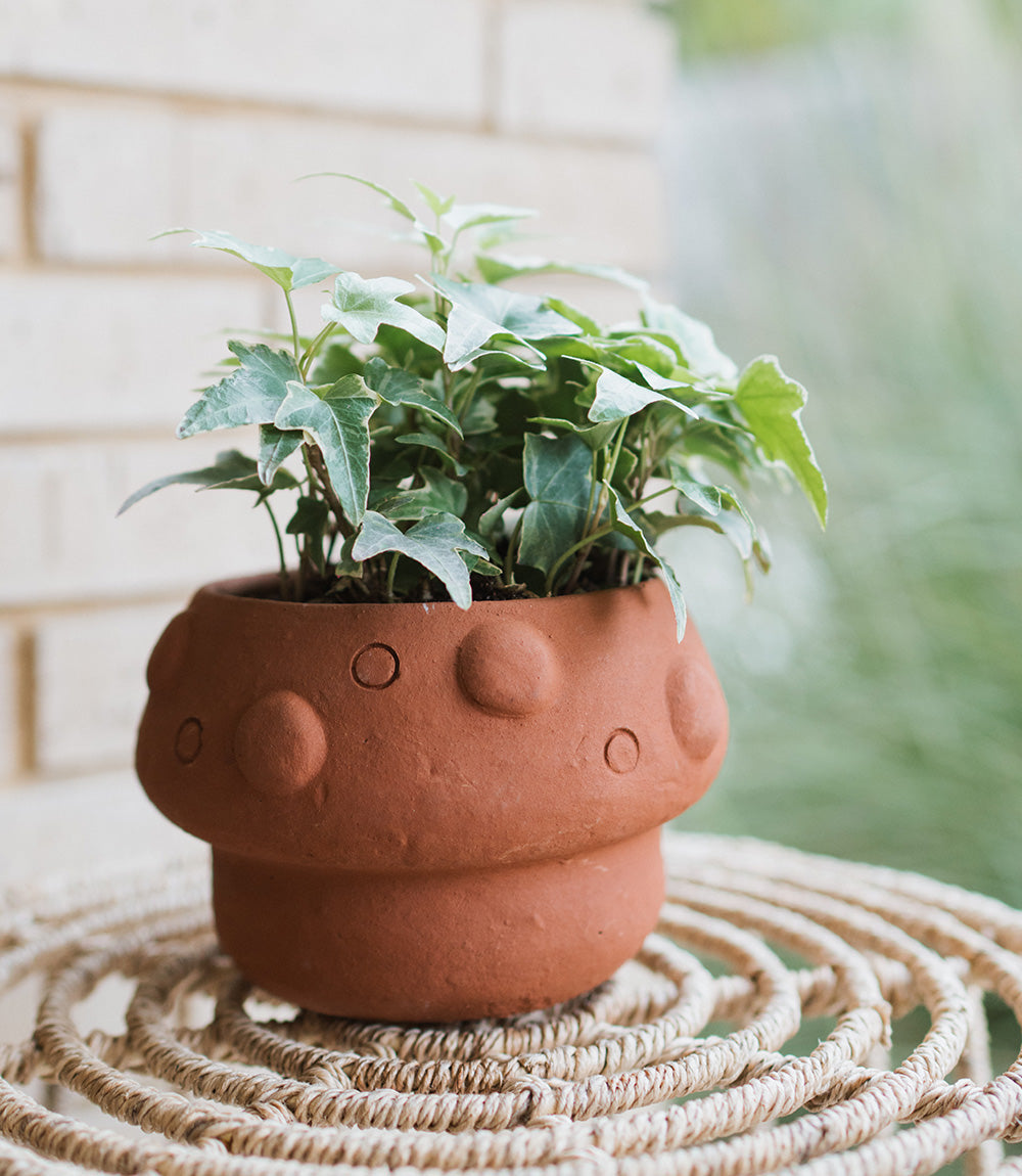 Rakshana Terracotta Mushroom Plant Pot