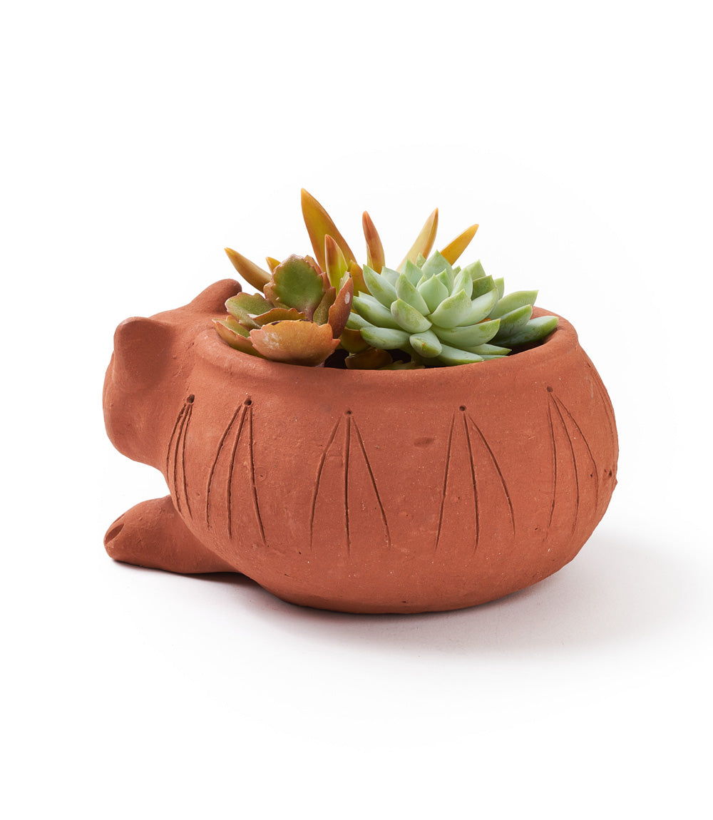 Rakshana Terracotta Cat Plant Po
