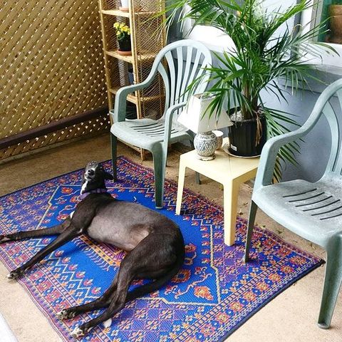 Turkish Blue Rug