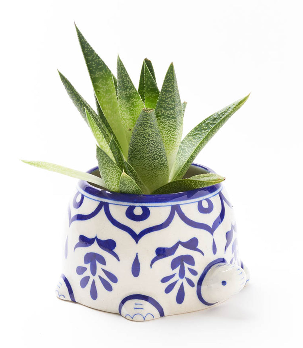 Lalita Mama Turtle Succulent Planter - Hand Painted White & Blue