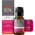 Organic Rose Geranium Essential Oil