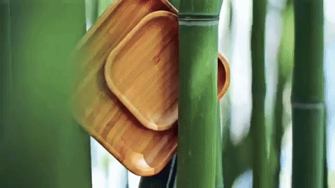 Bamboo Square Plate