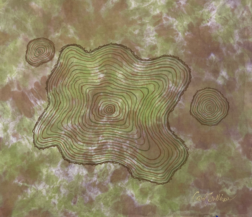 Painting on Silk - Eastern Cedar Life Story