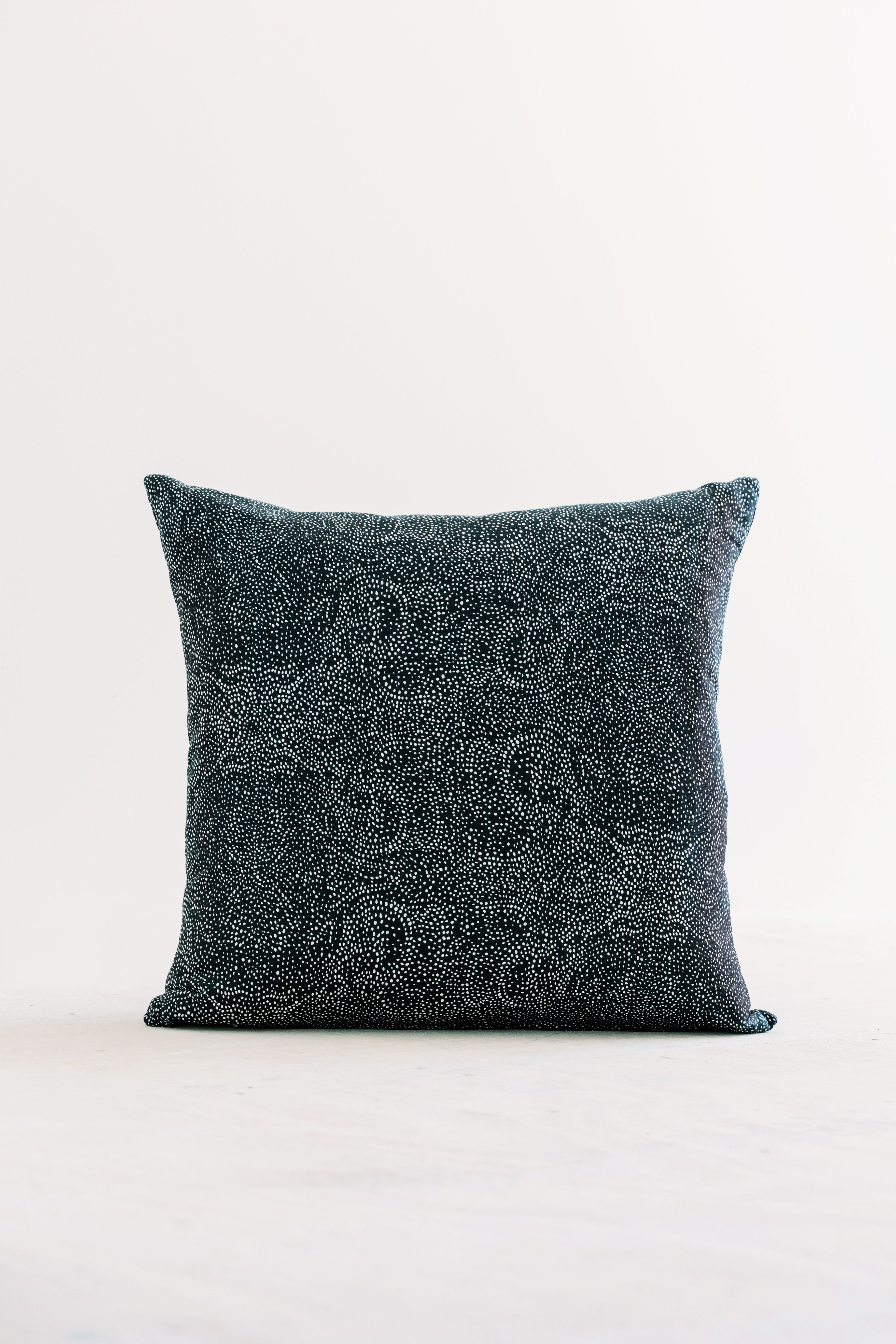 Palizada in Constellation Pillow