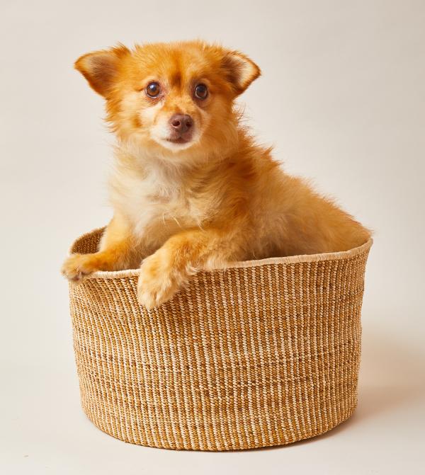 Natural Banana Leaf Floor Basket