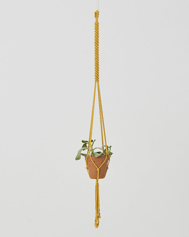 Bluefields Macrame Plant Holder | Yellow