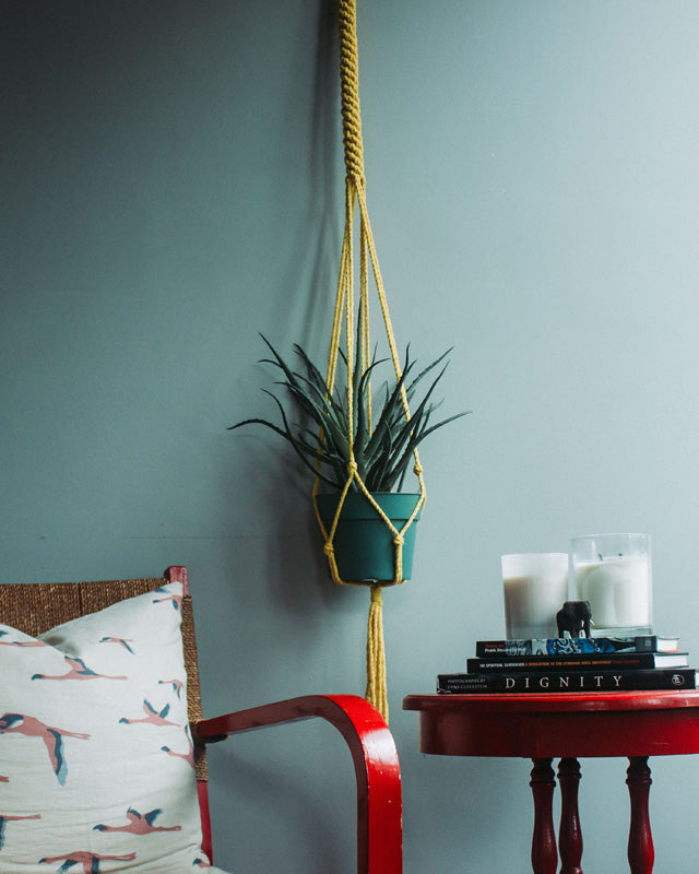 Bluefields Macrame Plant Holder | Yellow