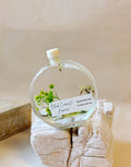 Handmade Long-Lasting Botanical Reed Diffuser (100ml)