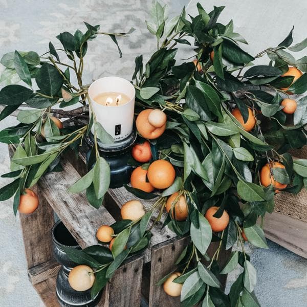 Orange Citrus Soy Candle - Citrus Tree