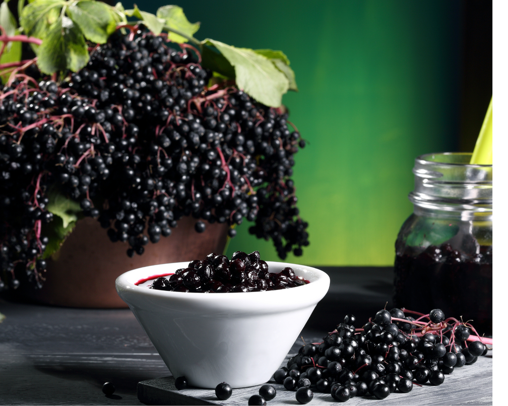 Elderberry Plus