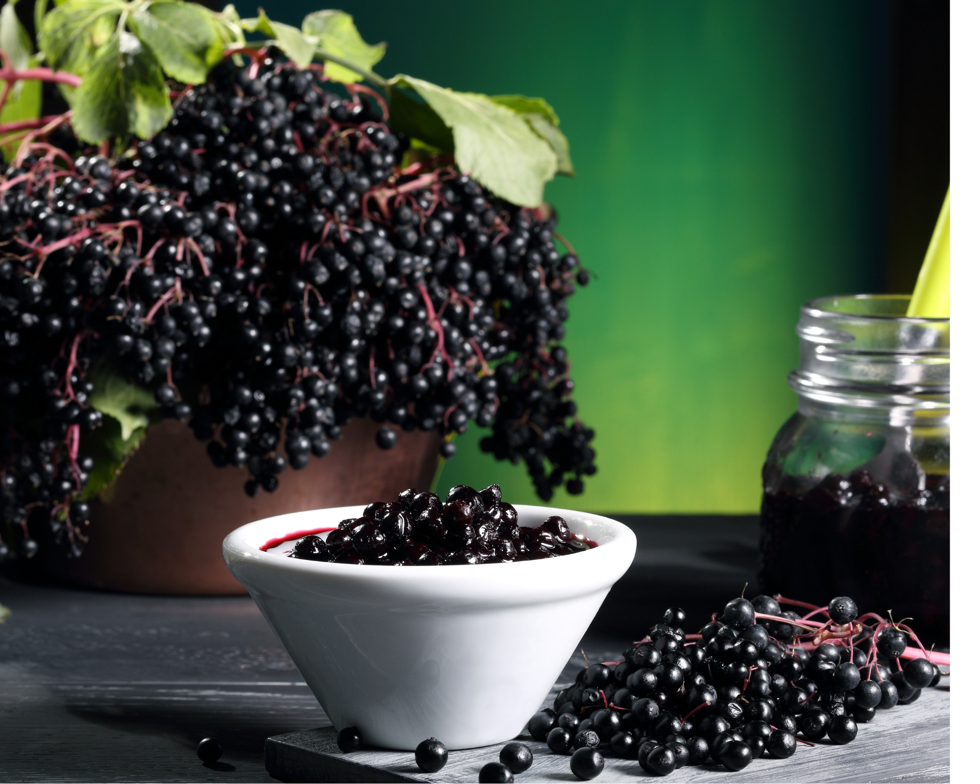 Elderberry Plus