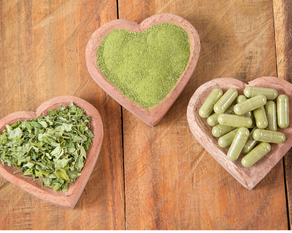Organic Moringa Oleifera