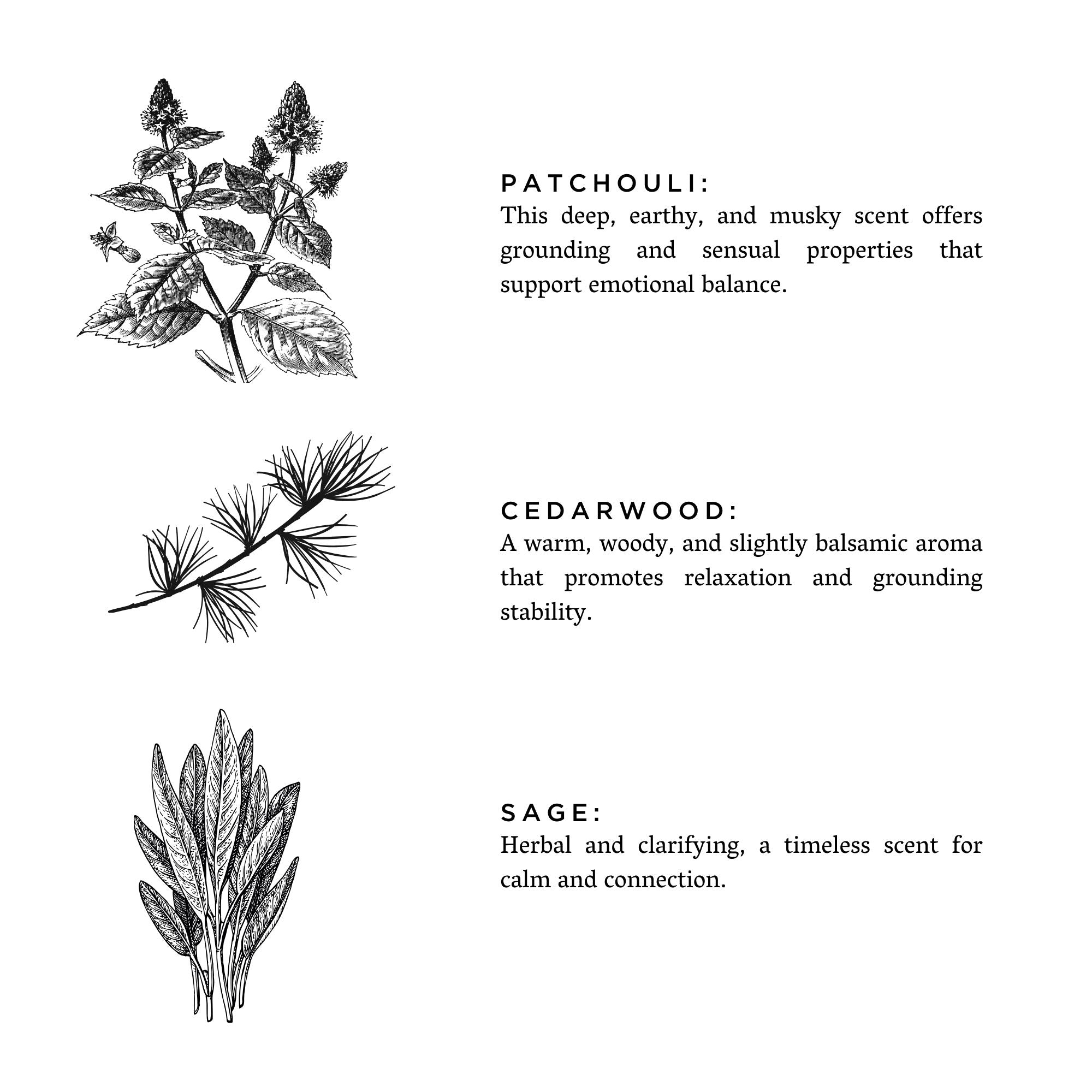 Decade of Light (Sage, Cedarwood & Patchouli)