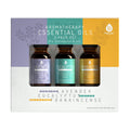 Aromatherapy Essential Oils: Lavender, Eucalyptus & Frankincense (3-Pack)