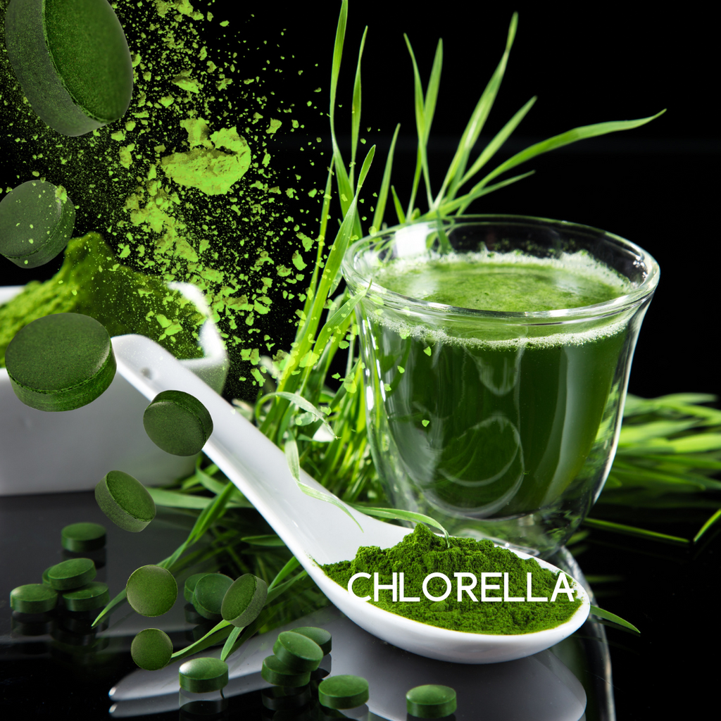 Colon Cleanse