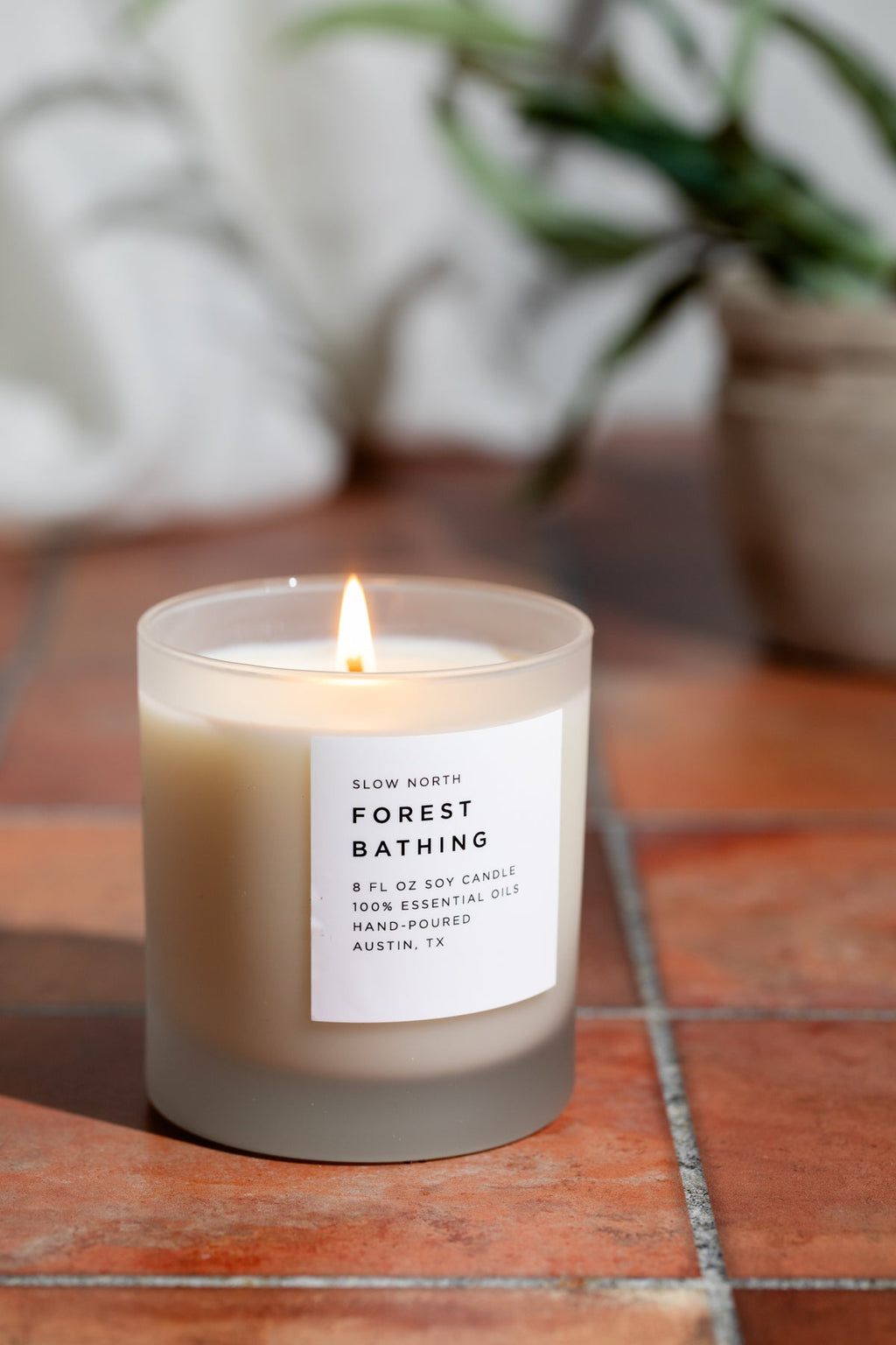 Forest Bathing Signature Candle (Fir, Pine & Patchouli)