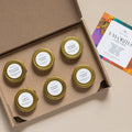 Favorites Collection Soy Wax Candle (6-Pack)