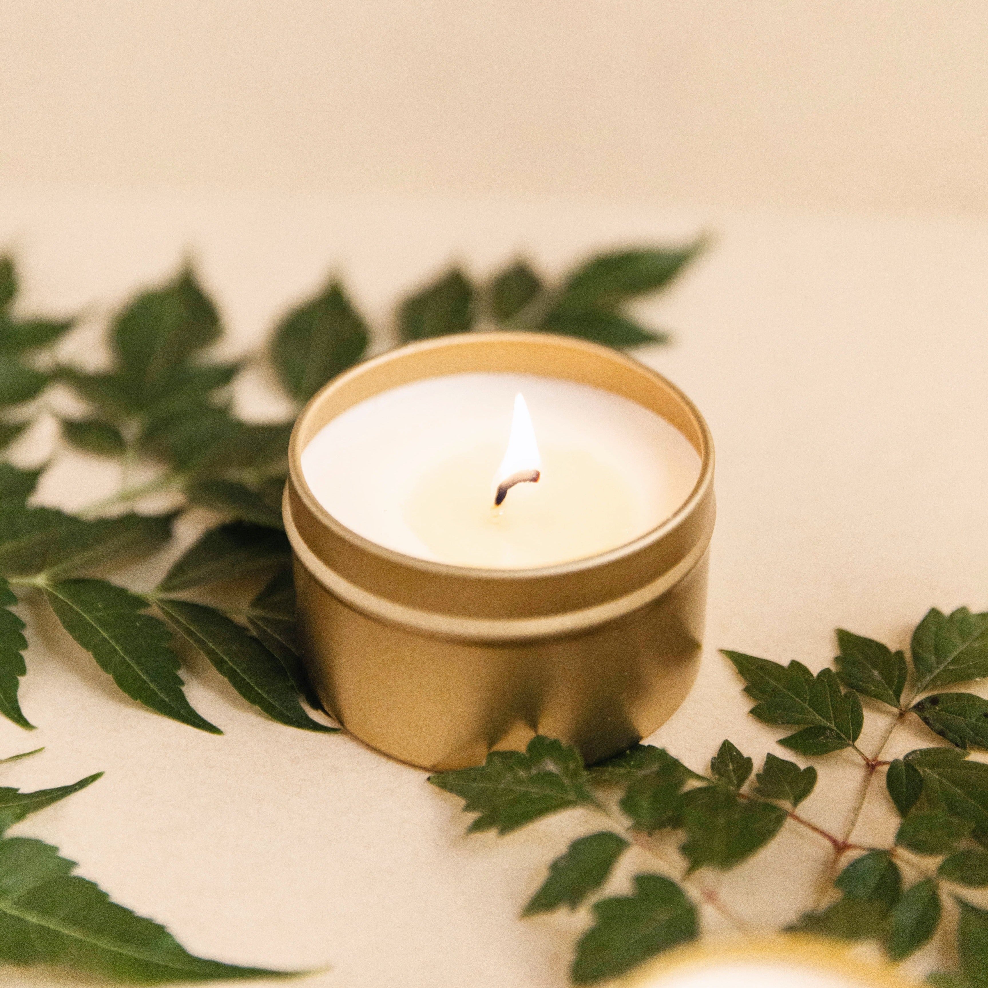 Forest Bathing Candle with Fir, Pine & Patchouli