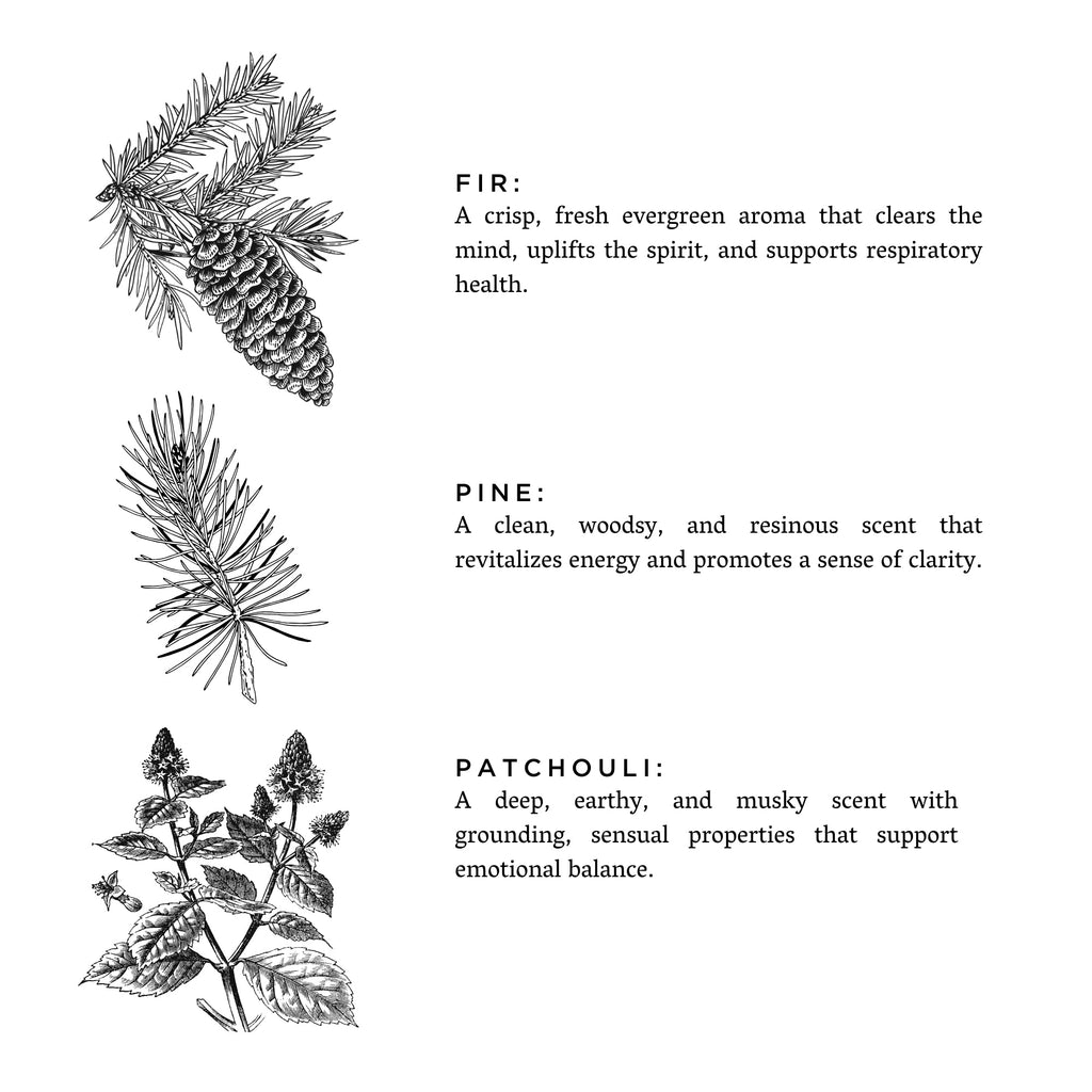 Forest Bathing Signature Candle (Fir, Pine & Patchouli)