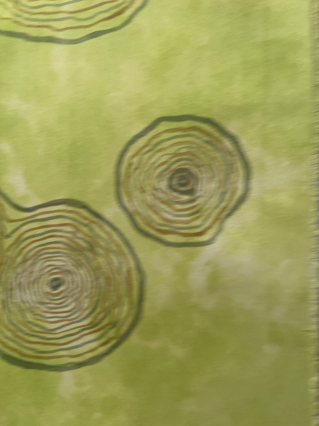 Painting on Silk - Spring Birch Life Story