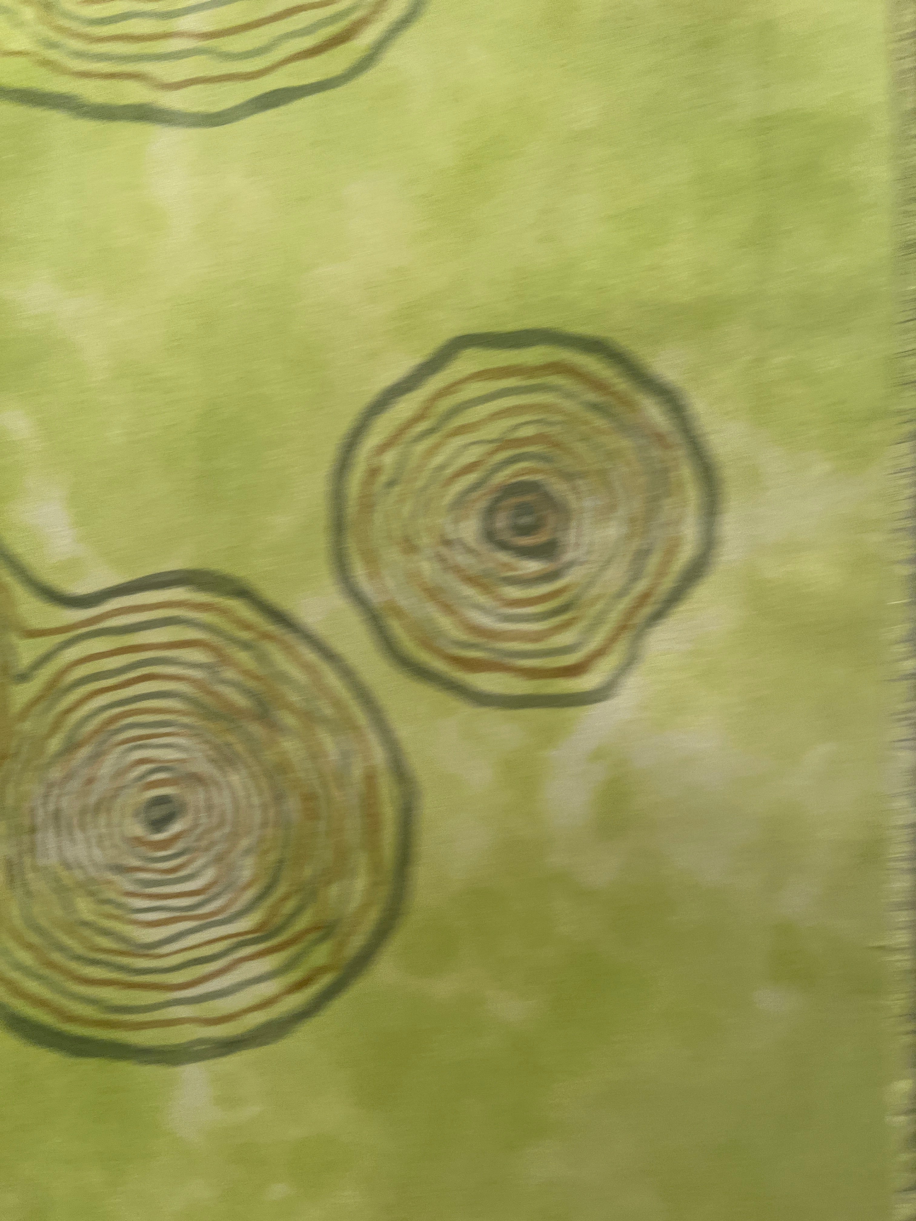 Painting on Silk - Spring Birch Life Story