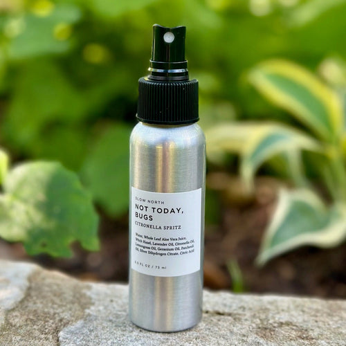 "Not Today, Bugs" Mini Bug Spray (2.5oz)