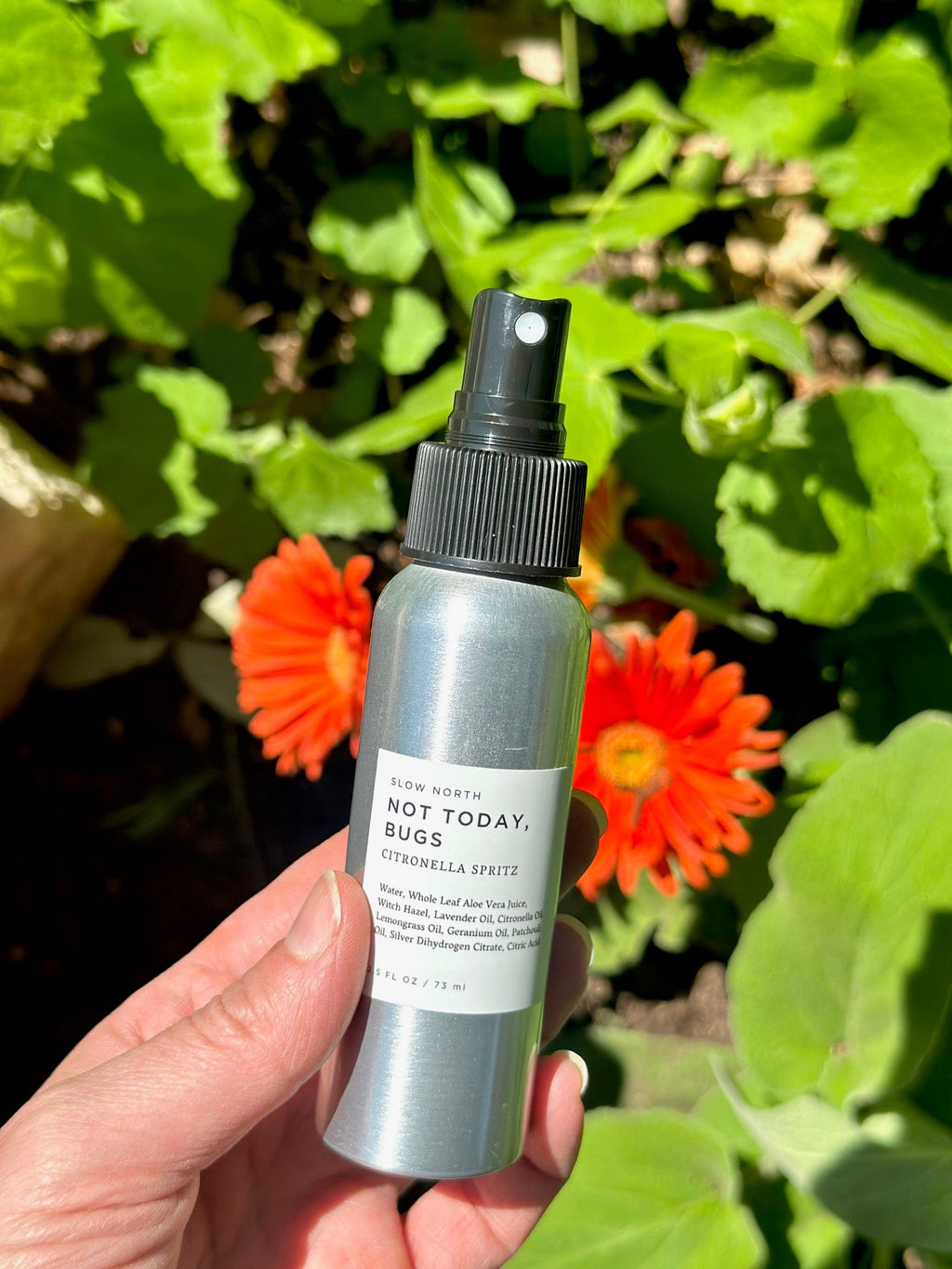 "Not Today, Bugs" Mini Bug Spray (2.5oz)