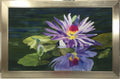 Painting on Silk - Sparhawk Dragonfly & Waterlily