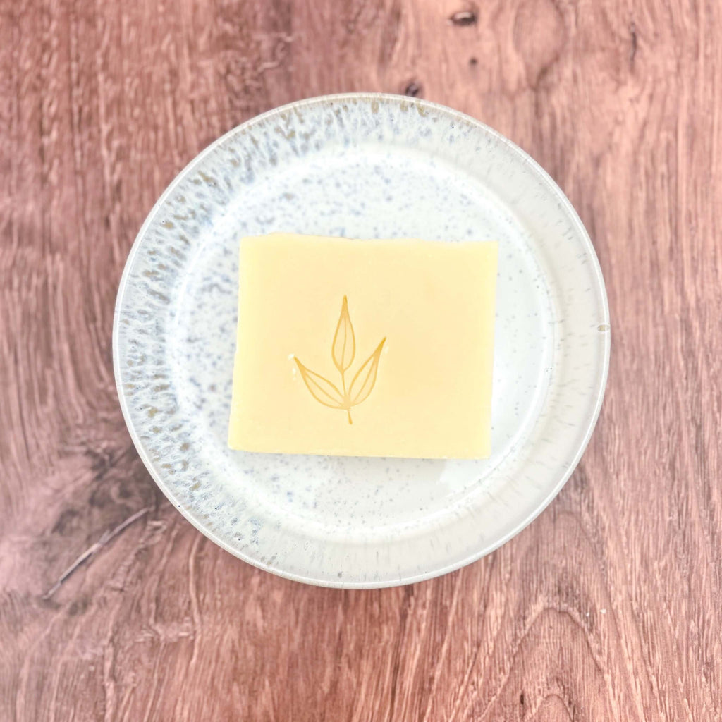 Face Wash Bar Soap
