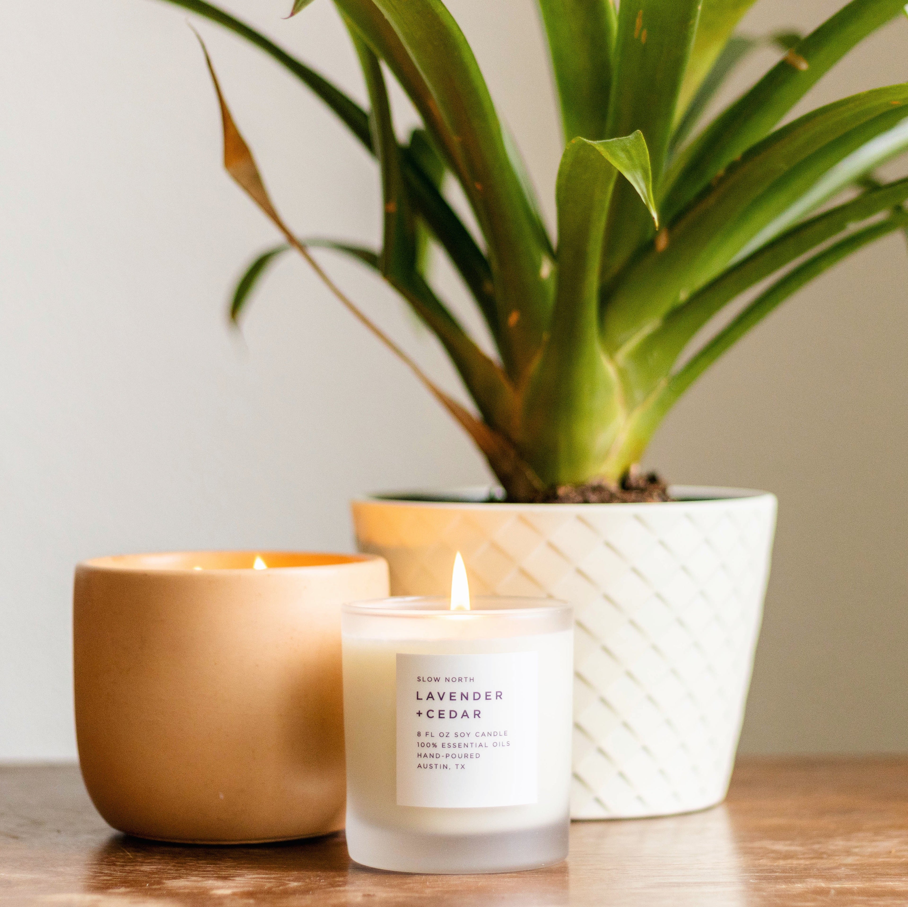 Lavender & Cedar Signature Candle