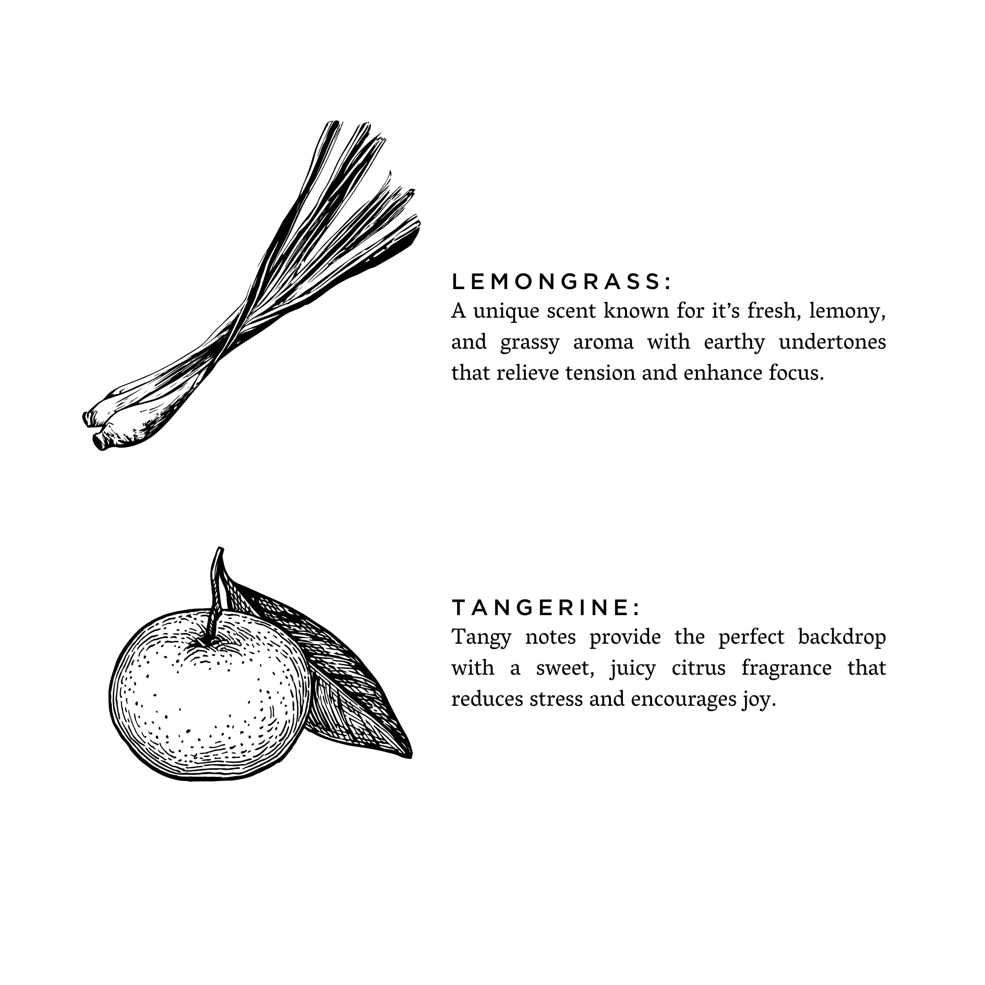 Lemongrass & Tangerine Soy Wax Candle