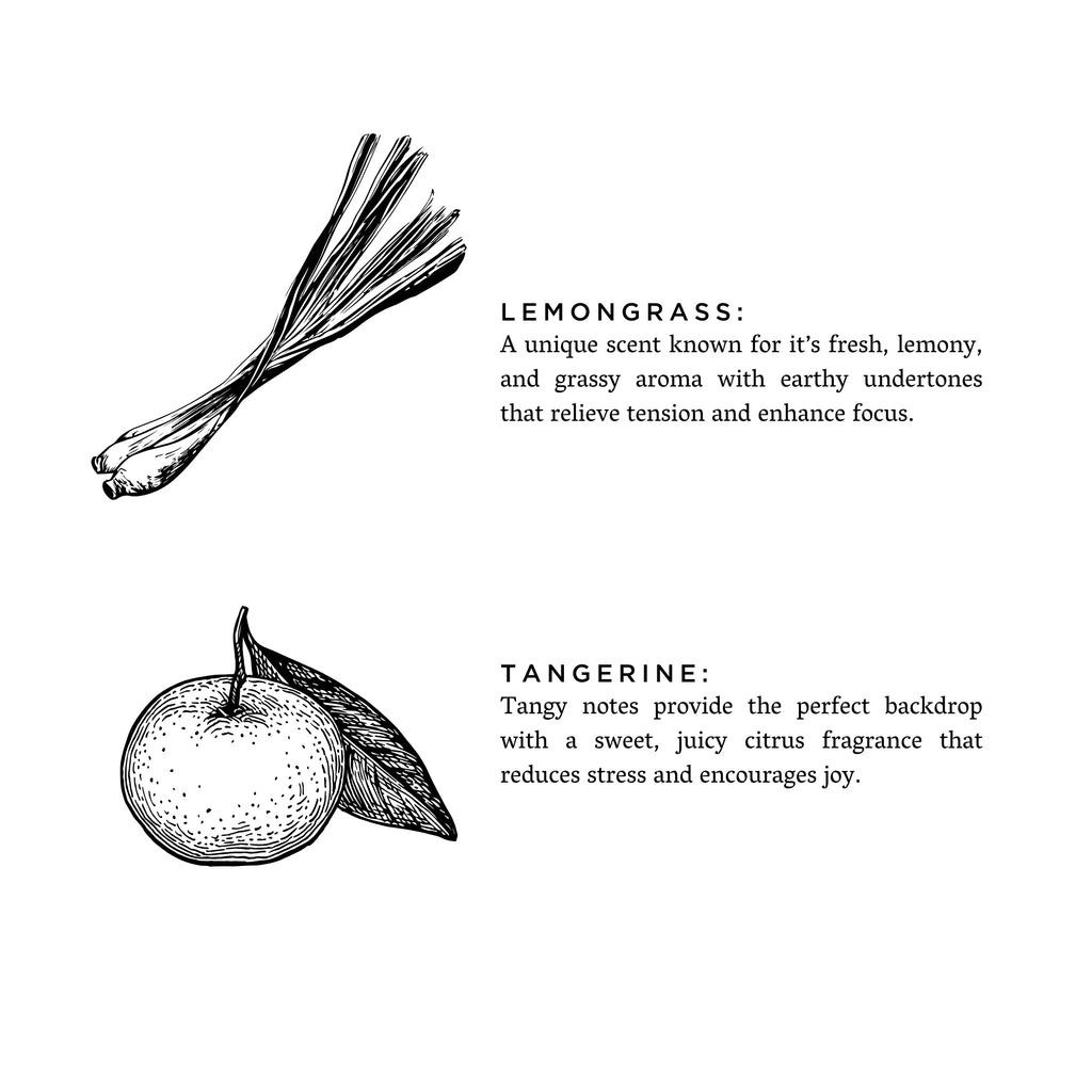 Lemongrass & Tangerine Reed Diffuser